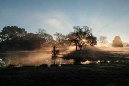 💧THE SILENT INTELLIGENCE OF THE BODY | ☀️ 1.3 Why light has more influence than nutrition